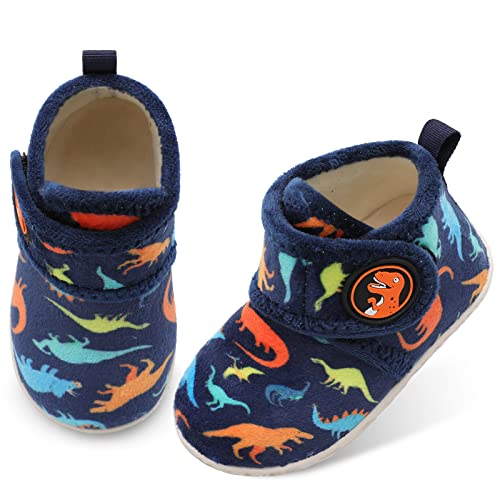 B Dinosaur