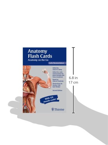 Anatomy Flash Cards: Latin Nomenclature Study Guide for Medical Students - Perfect for On-the-Go Learning & Exam Prep