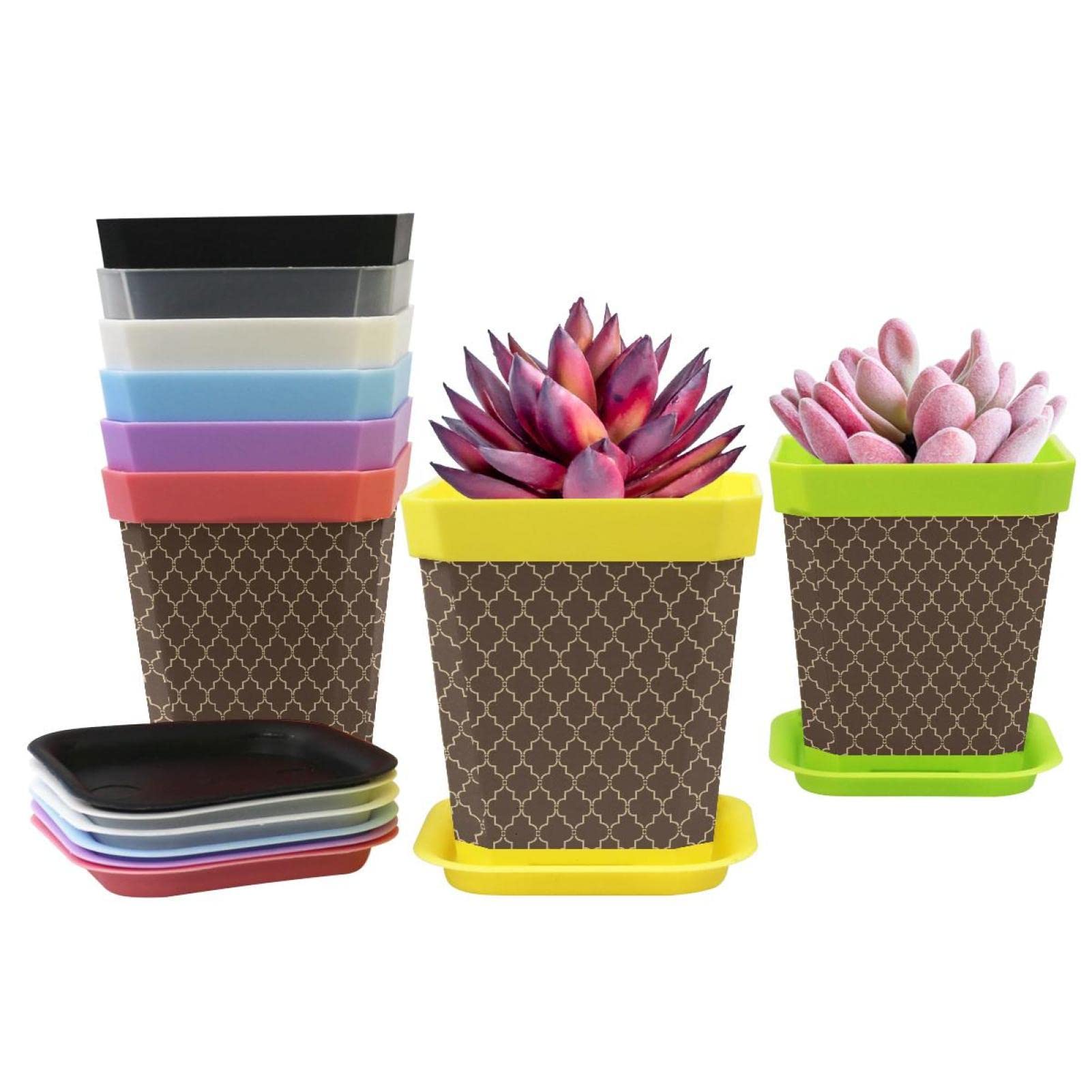 8 Pack Mini Plastic Flower Seedling Nursery Pots with Pallet - 3