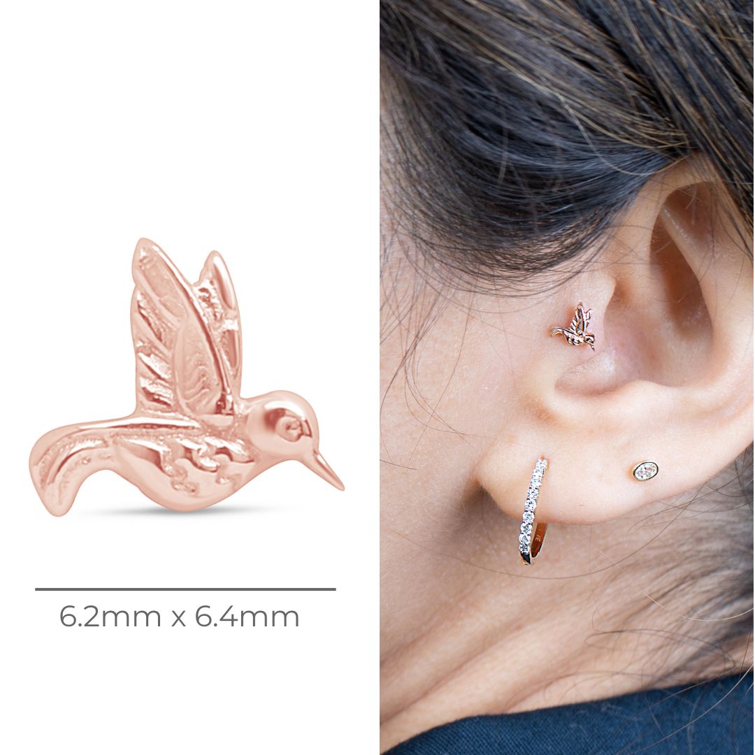 14K Rose Gold Hummingbird Flat Back Stud Earrings – Dainty & Elegant Jewelry for Women, Perfect for Everyday Wear, Gifts & Special Occasions