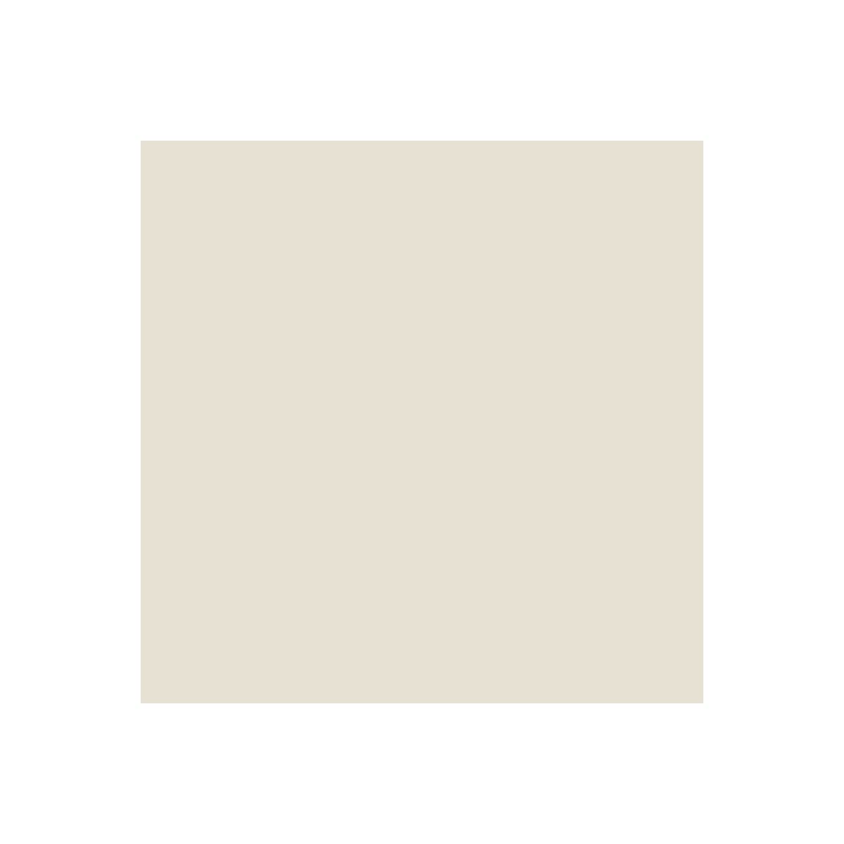 **Pliolita Paint - ARCAFAÇADE PLIOPROTECT - 2.5 L (Covers ~20 m² per Coat) Stone Effect - RAL 090 90 10 - ARCANE INDUSTRIES - Perfect for Exterior Wall Protection & Decoration**