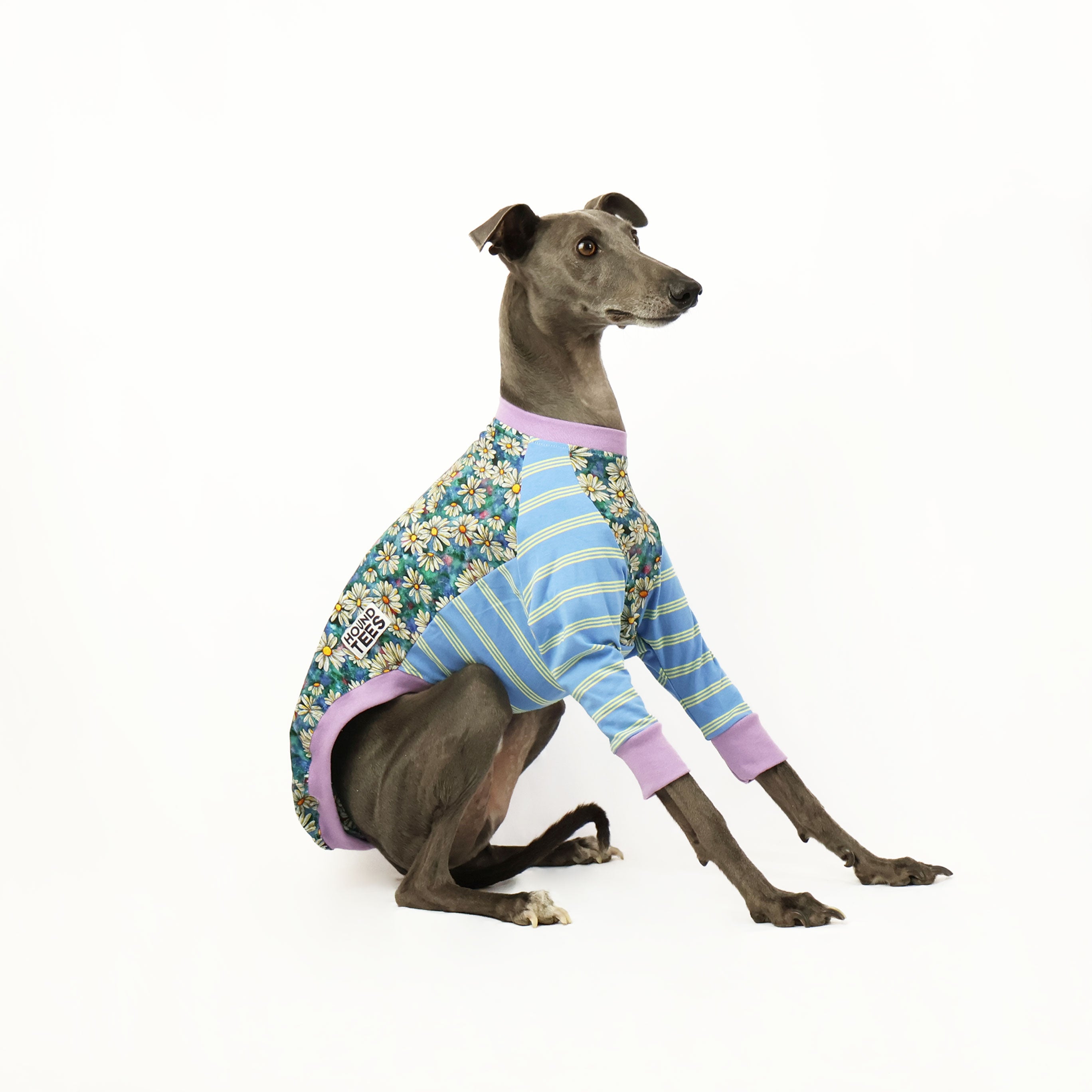 Whoopsie Daisy Whippet Long Sleeve Hound T-Shirt | Cute Dog Lover Apparel for Women & Men | Perfect for Casual Wear, Dog Walks & Pet Owner Gifts