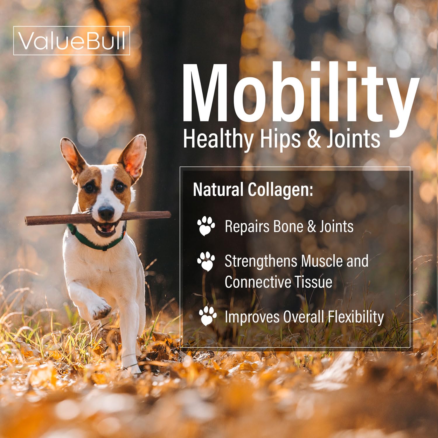 ValueBull Collagen Sticks for Dogs - Natural & Safe Single Ingredient Chews, 12 Inch Medium Size (50 Count Bulk Pack) | Healthy Alternative to Bully Sticks & Rawhide | Supports Hip & Joint Health, Skin & Coat | Perfect for Aggressive Chewers, Training Rewards & Dental Care