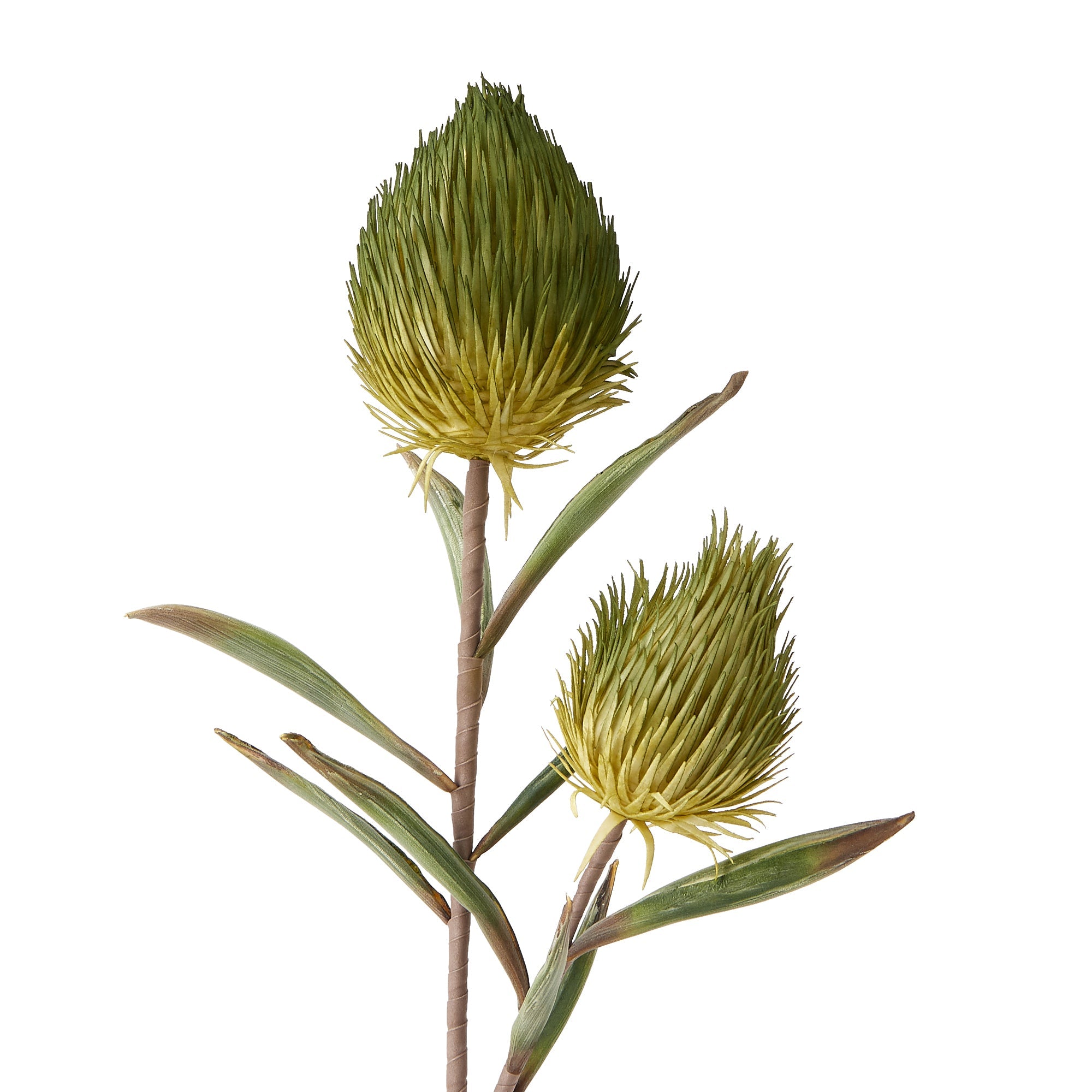 Banksia Artificial Green Plant - Realistic Fake Plant for Home Decor, Office, Wedding, and Party Decoration
