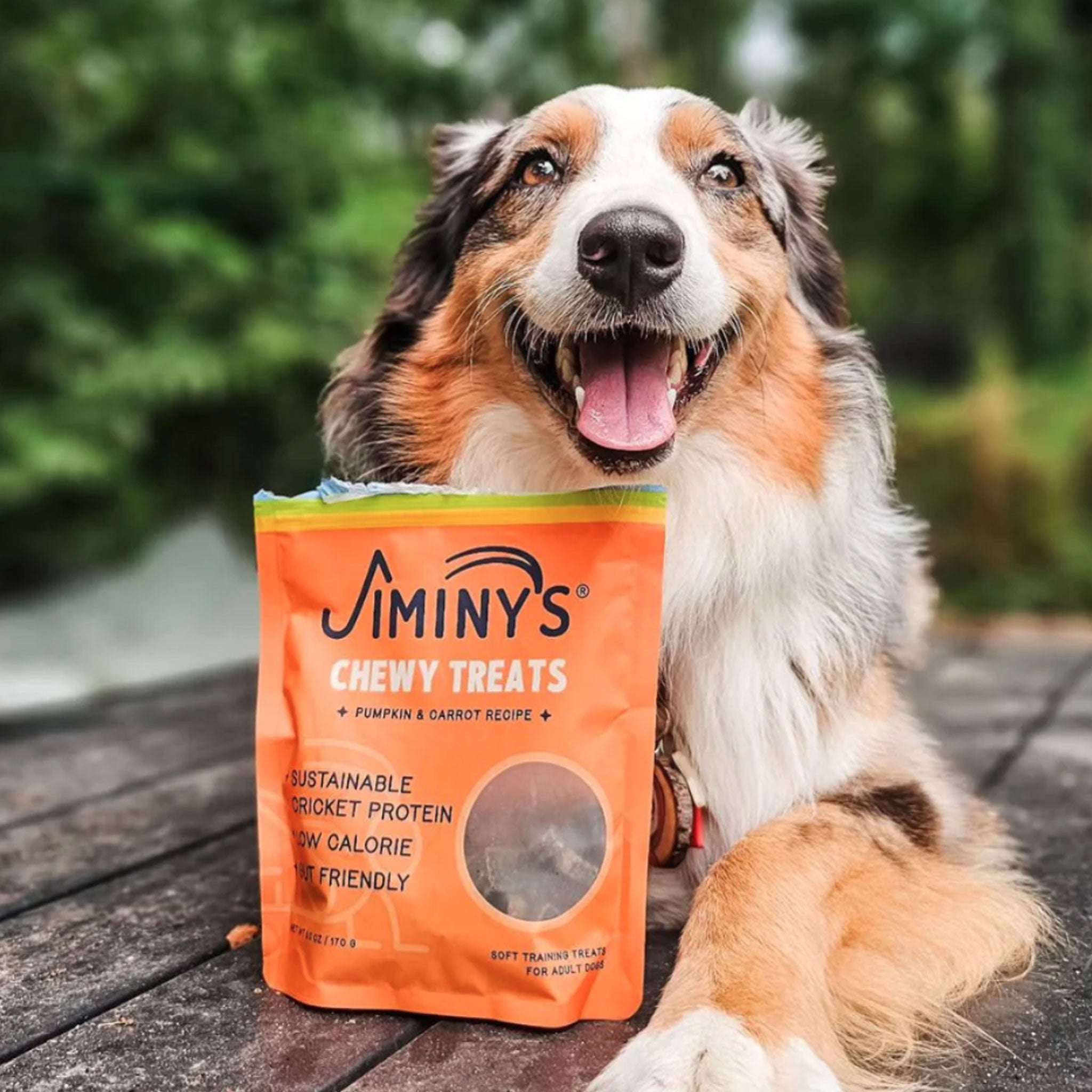 Jiminy's Cricket Cookie Pumpkin & Carrot Dog Training Treats - 6oz | High-Protein, All-Natural Dog Snacks for Obedience Training & Positive Reinforcement | Perfect for Small & Medium Breeds