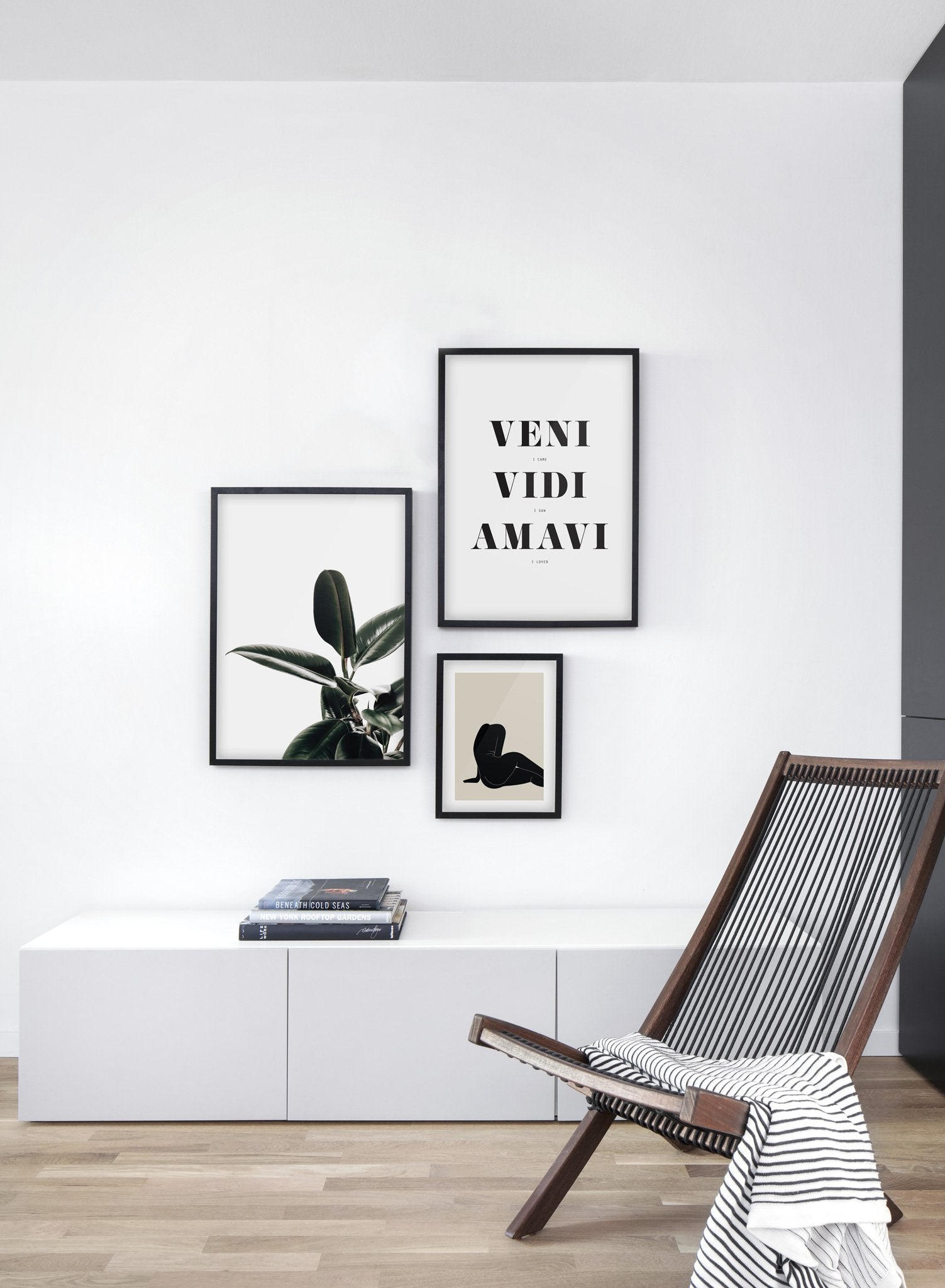 Rubber Tree Plant - Ficus Elastica Indoor Houseplant for Home & Office Decor - Perfect for Living Room, Bedroom, or Workspace