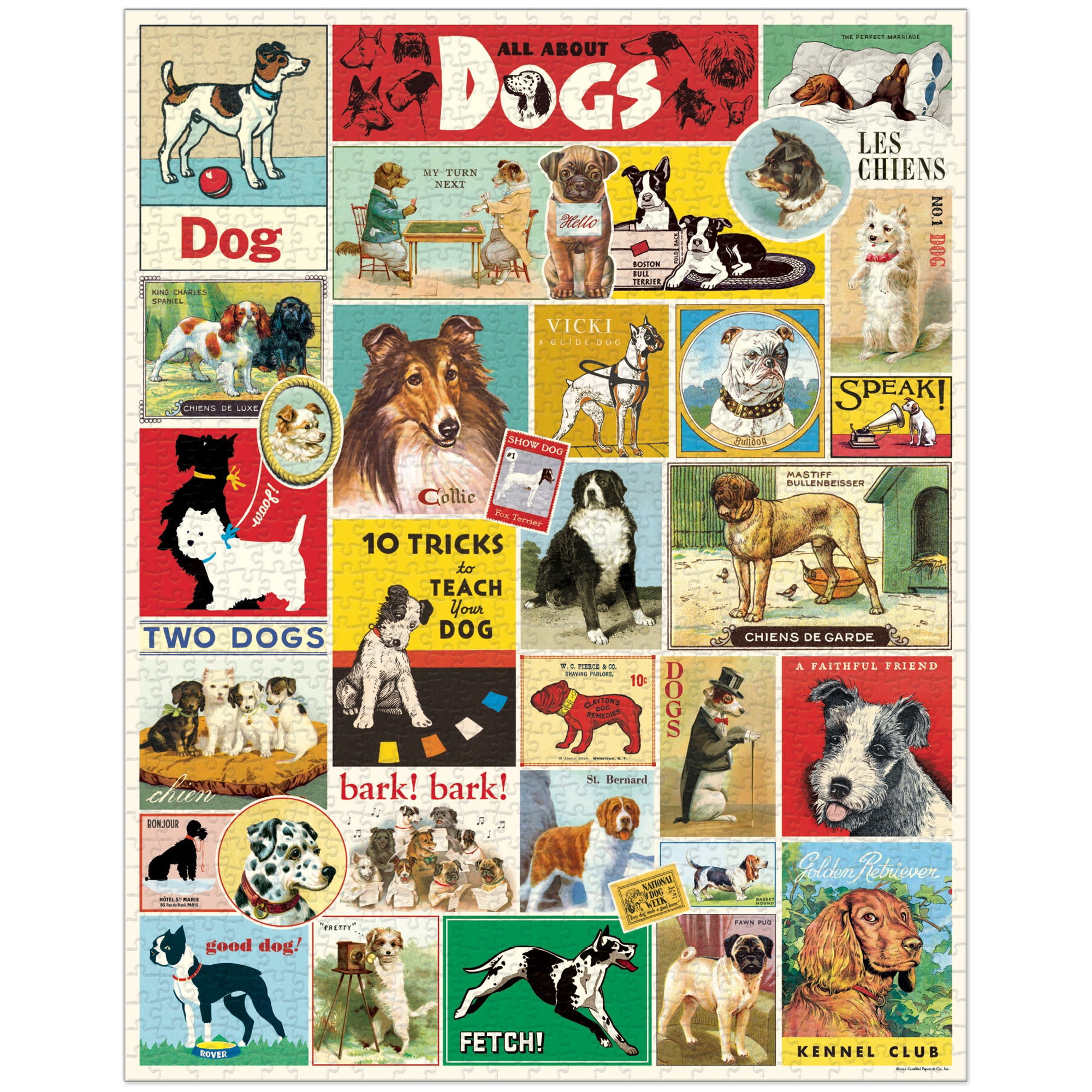 1,000 Piece Jigsaw Puzzle - Dogs Breed Collection - Challenging & Fun Adult Puzzle Game for Relaxation & Family Bonding - Perfect for Home Decor, Gifts & Stress Relief Activities