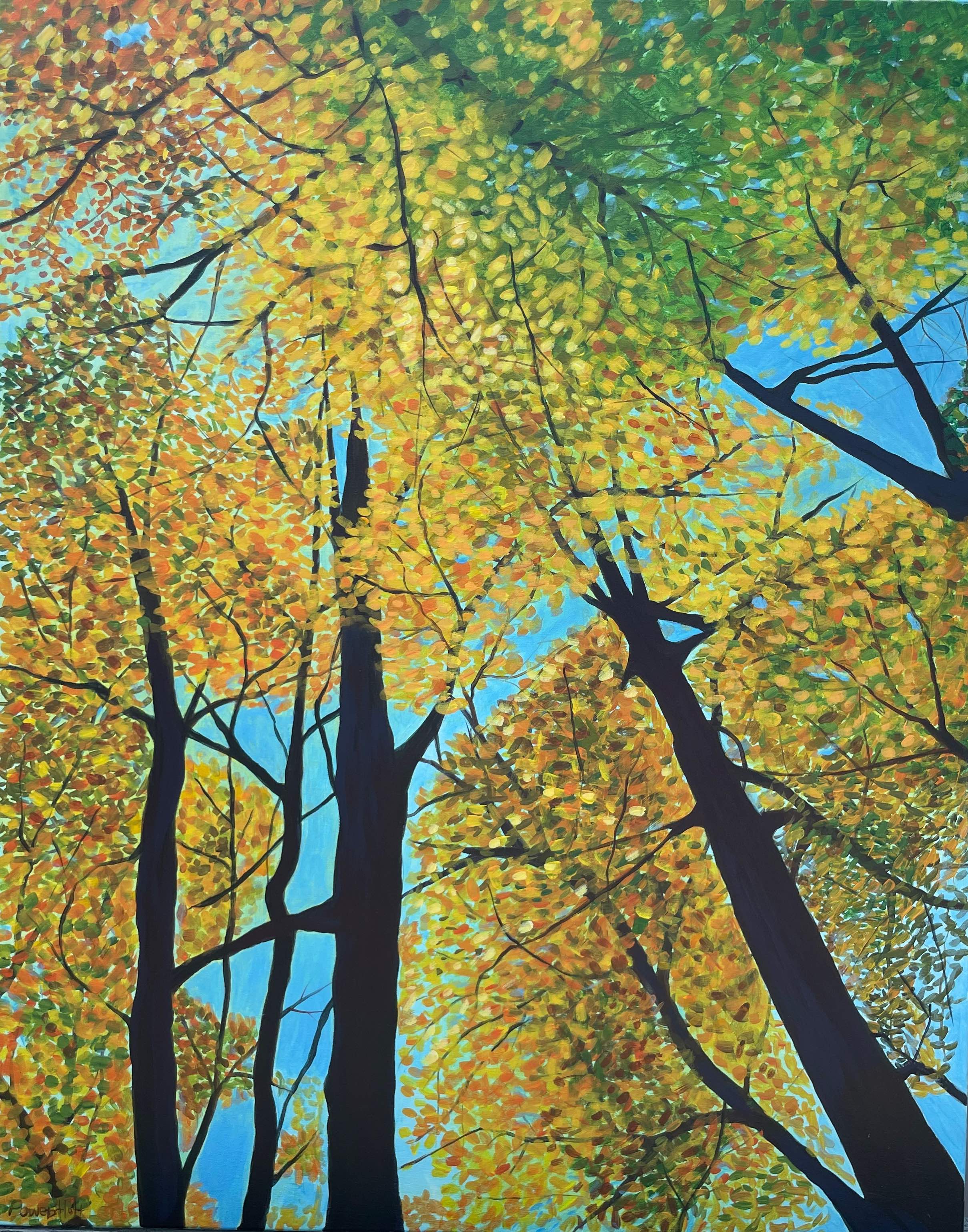Mary Powers Holt: Fall Woods Canopy - Premium Wall Art Print for Home & Office Decor - Perfect for Living Room, Bedroom, and Study Room Aesthetic Enhancement
