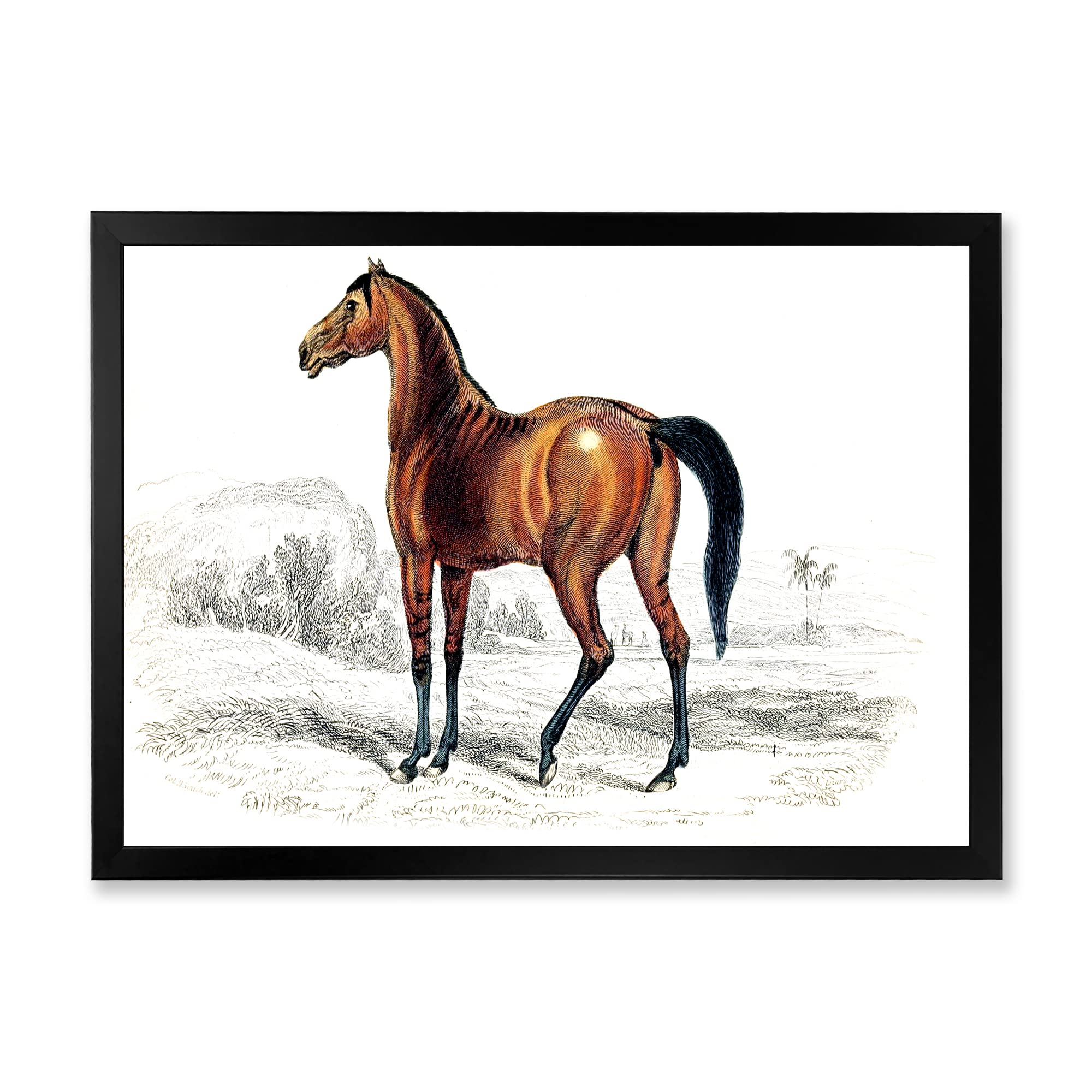Vintage Horse Farmhouse Framed Wall Art - Rustic Country Decor for Living Room, Bedroom & Office - Perfect Western Home Decor & Cowboy Themed Gift