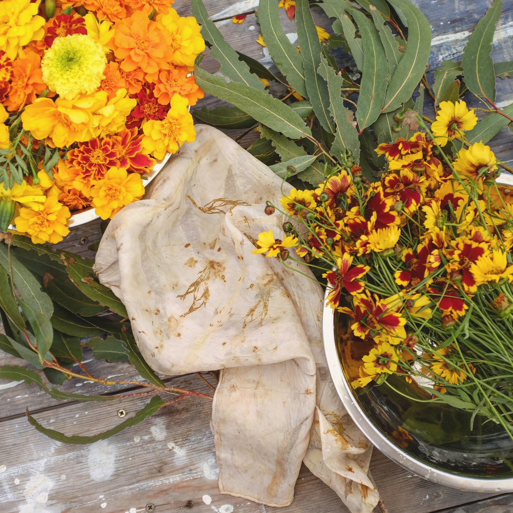 Natural Eco Printing on Cotton & Linen Fabric - DIY Botanical Dyeing Guide for Sustainable Textiles | Perfect for Home Decor, Fashion Design & Eco-Friendly Crafts