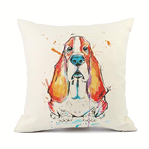 Basset Hound