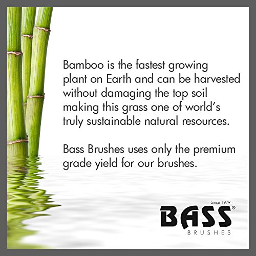 Bass Brushes - Half Round Style Brush for Bass Guitar Cleaning & Maintenance | Perfect for Musicians & Instrument Care
