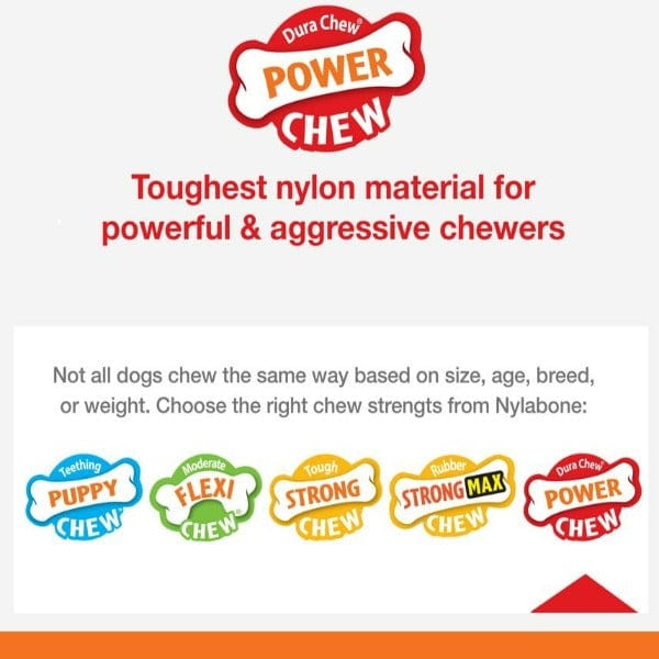Nylabone Power Chew Durable Dinosaur Dog Toy for Aggressive Chewers - Promotes Dental Health & Teeth Cleaning for Large Breed Dogs - Perfect for Playtime & Training Rewards