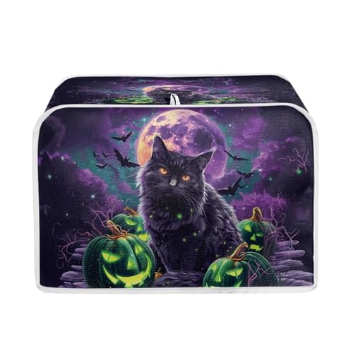 Black Cat Pumpkin Bats Halloween