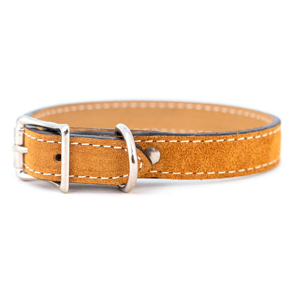 Auburn Leathercraft Saratoga Suede Dog Collar 1-1/4