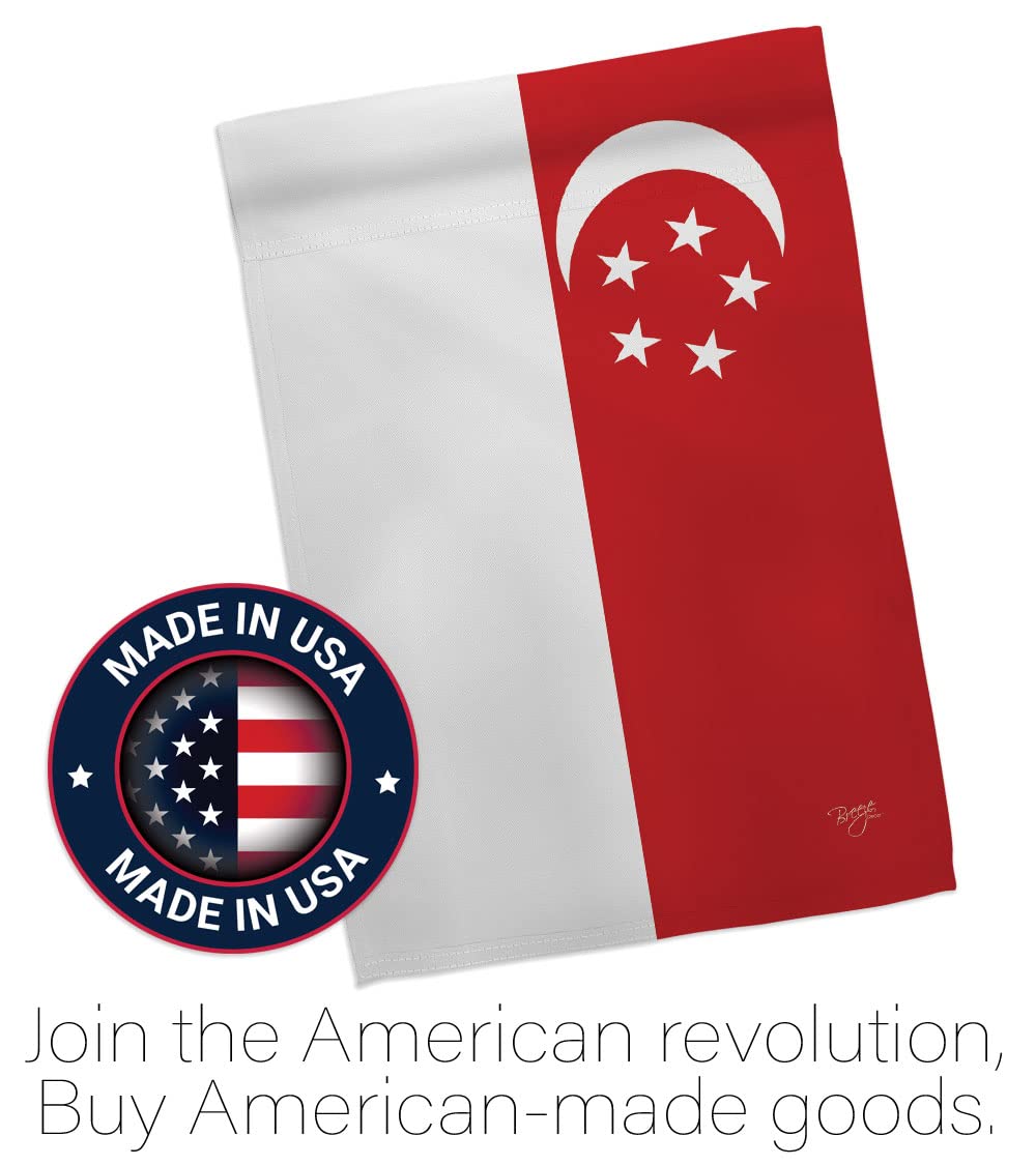 Singapore Nationality House Flag Set 28
