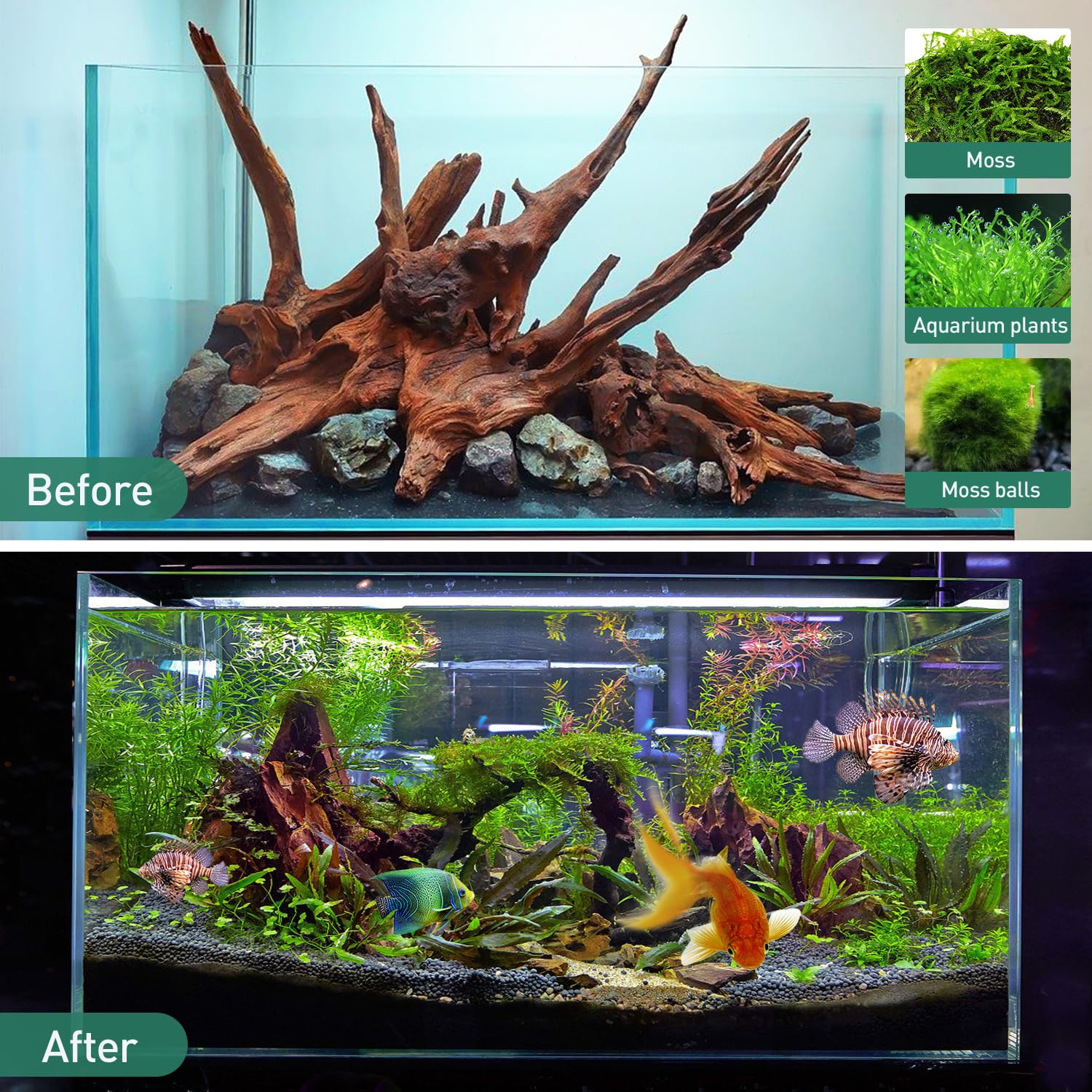 WDEFUN Natural Driftwood for Aquarium Decor - 2-Piece Large Driftwood (10''-14'') for Fish Tank, Reptile Terrarium & Air Plants | Perfect for Bearded Dragon Habitats, Aquascaping & Home Décor