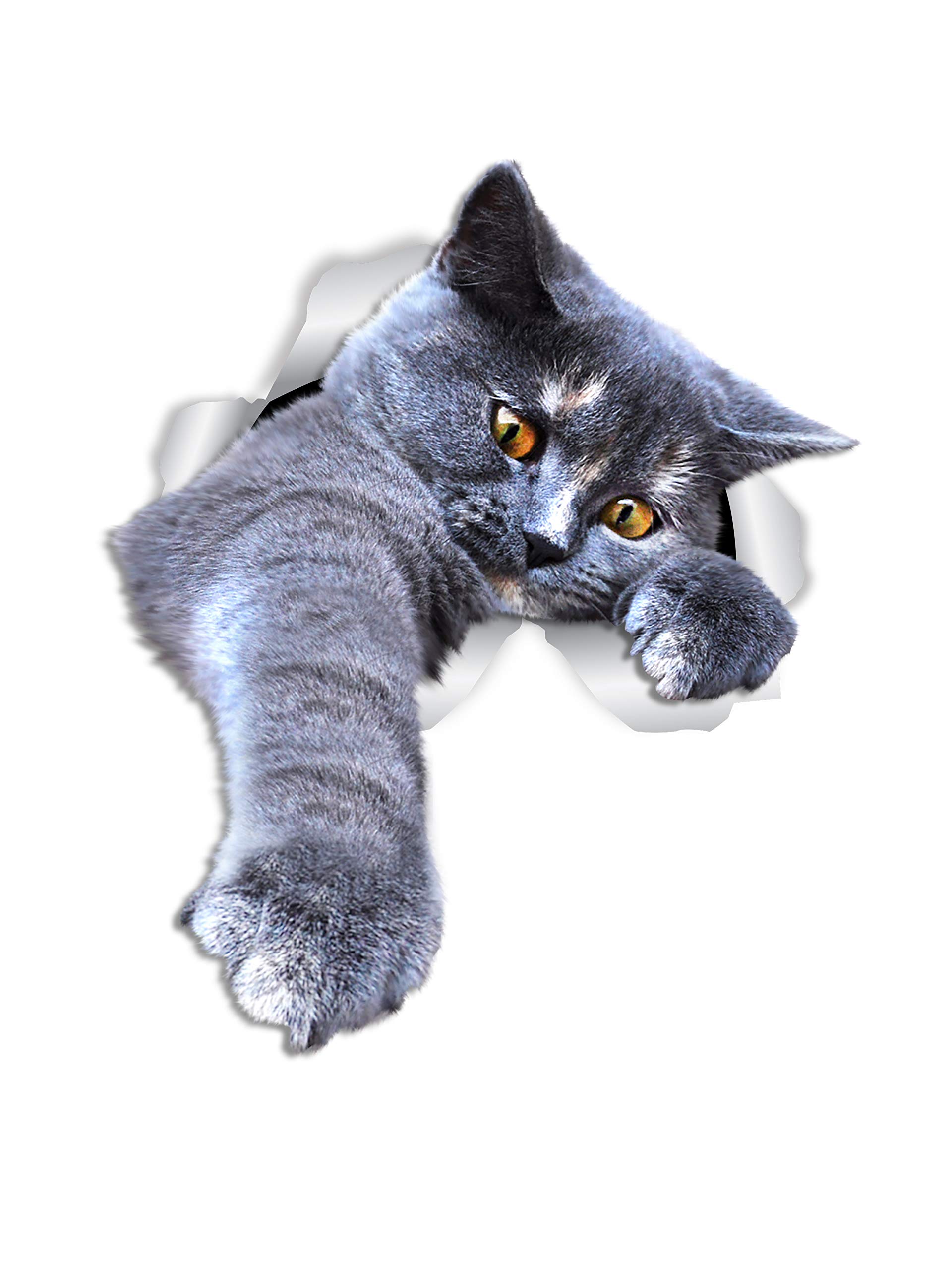 Winston & Bear 2-Pack 3D Grey Shorthair Cat Wall Decals - Removable Cat Toilet Stickers & Car Window/Bumper Decals - Perfect for Cat Lovers Home Decor & Car Accessories
