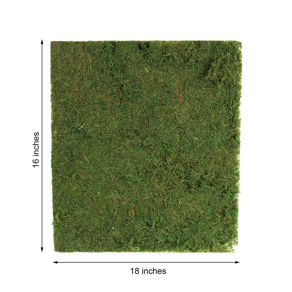 18x16 Inch Green Natural Preserved Moss Sheet - Bulk Wedding, Party & Event Decor for Centerpieces, Crafts, Wholesale Supplies | Perfect for DIY Projects, Floral Arrangements & Home Decor