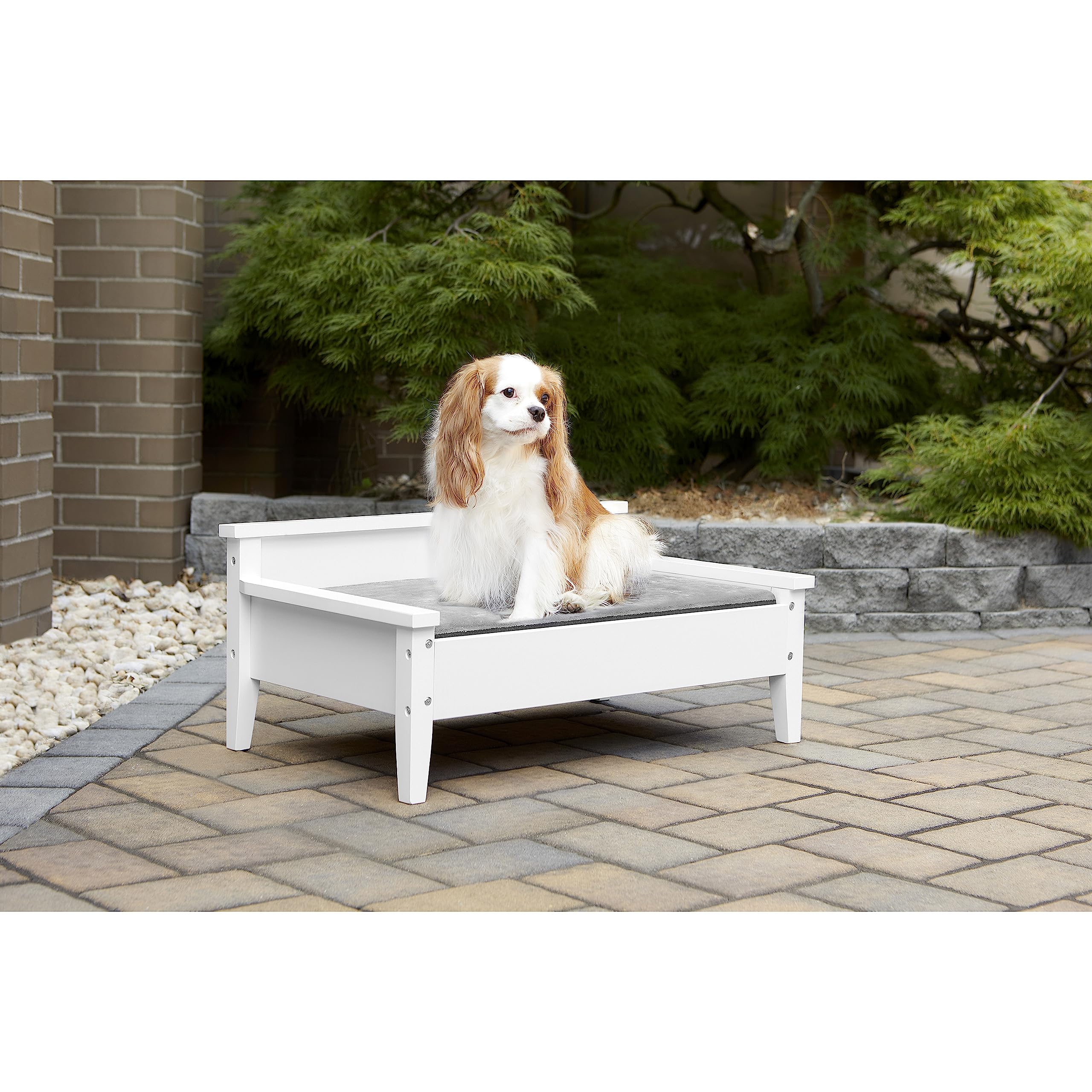 Elevated Wooden Dog Bed for Small to Medium Pets - Water-Resistant Calming Mattress, Greenguard Gold Certified Modern Dog Couch (Winston, White) - Perfect for Indoor Use in Living Room or Bedroom
