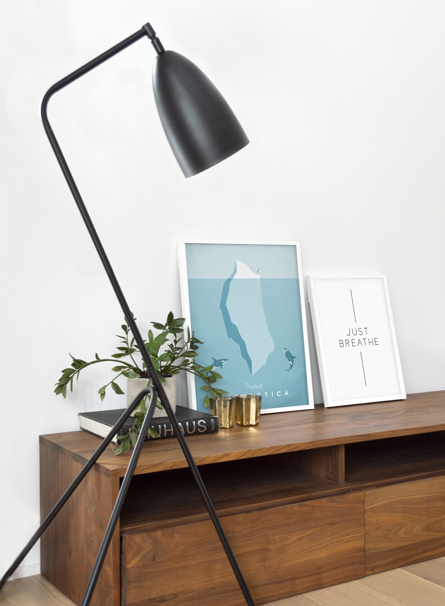 Save Antarctica - Eco-Friendly Conservation Poster for Home & Office Decor | Perfect for Environmental Awareness & Education