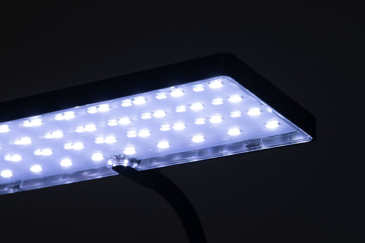 Aqua Worx EOS Nano LED Aquarium Light - Energy Efficient Coral Reef & Plant Growth Light for Saltwater & Freshwater Tanks - Perfect for Nano Tanks, Betta Fish, Shrimp & Small Aquariums