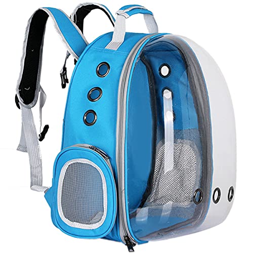 Light Blue Without Cover