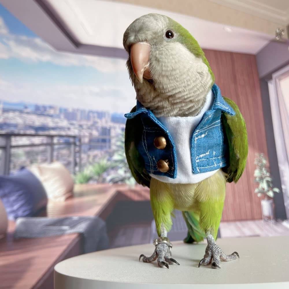 **Bird Diaper Flight Suit & Costume Set for Parrots, Lovebirds, Parakeets, Cockatiels - Soft Bird Jeans & Cosplay Apparel with Diaper (Budgie, Small Birds) - Perfect for Photo Props, Playtime & Training**
