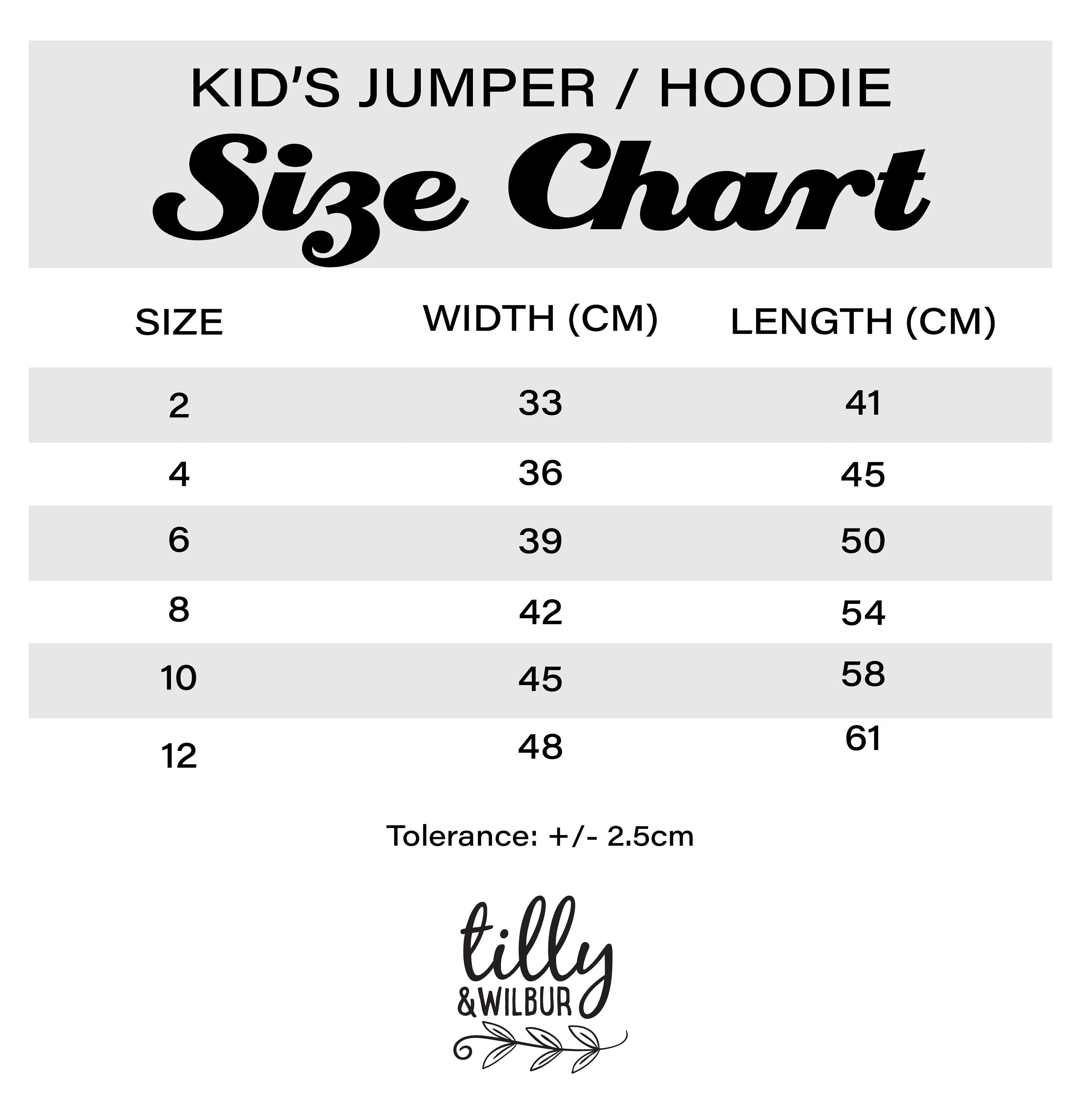 Big Sister Jumper - Cute Matching Sibling Outfits for Family Photos & Special Occasions