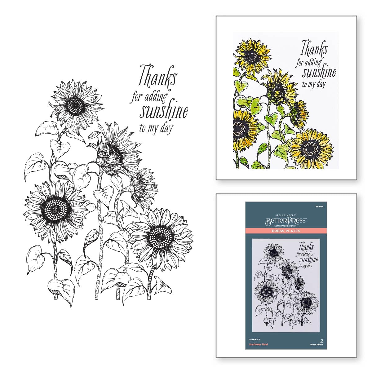 Spellbinders Sunflower Field BetterPress Metal Press Plate for Card Making & Scrapbooking | DIY Greeting Cards, Invitations & Paper Crafts