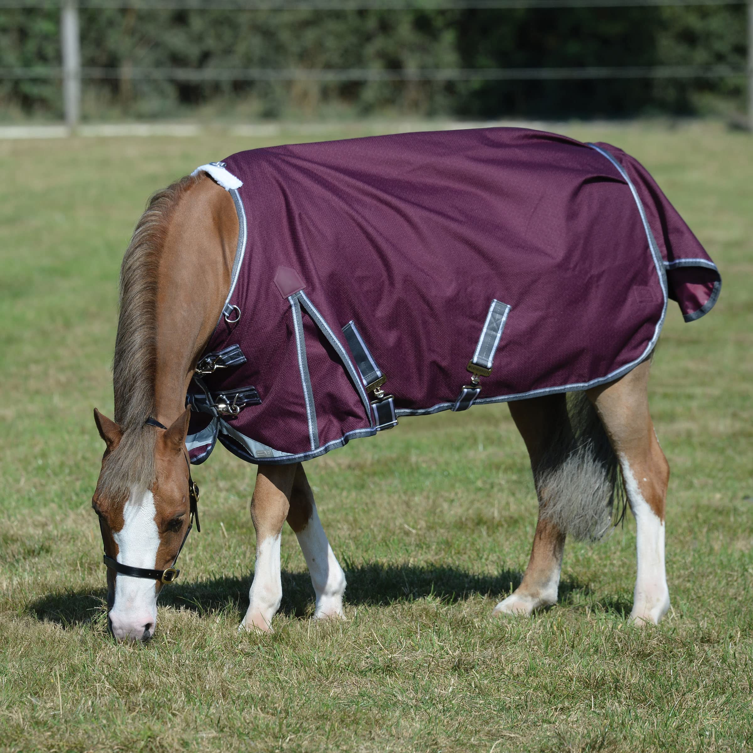 WeatherBeeta ComFiTec Plus Dynamic II Standard Neck Lite Horse Blanket - 87
