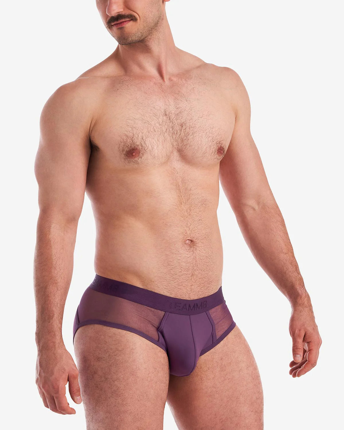 Teamm8 Score Sheer Brief Mesh Underwear for Women - Plum Purple Lingerie for Comfort & Style | Perfect for Sleepwear, Lounge & Everyday Wear