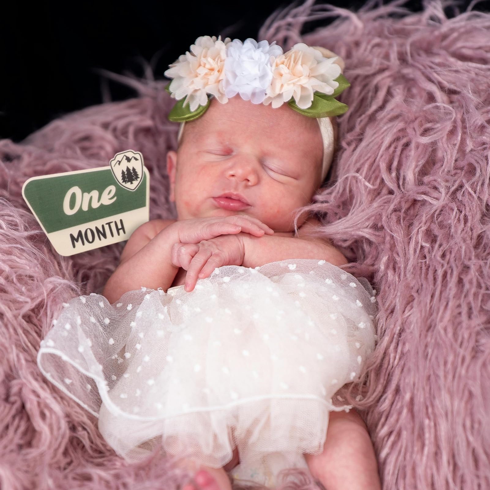Totority 24 Pcs Baby Month Milestone Sign Set - Newborn Announcement Felt Flap Photo Props for Monthly Growth Tracking | Perfect for 1st Birthday, Baby Shower Decor & Woodland Theme Nursery