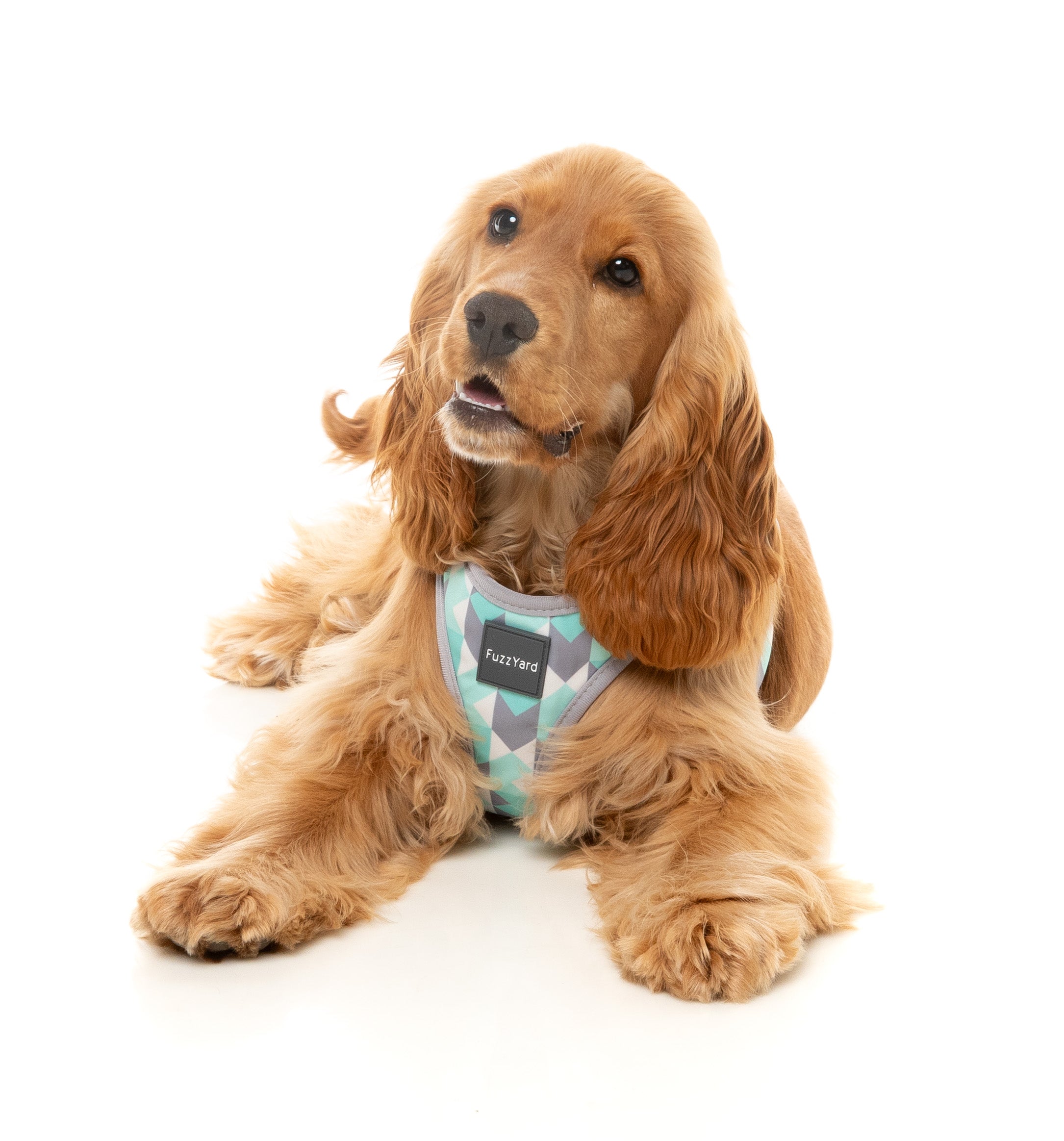 FuzzYard Mint Fizz Dog Step In Harness - Adjustable Pet Vest for Small Medium Dogs - Perfect for Walking, Training & Outdoor Adventures