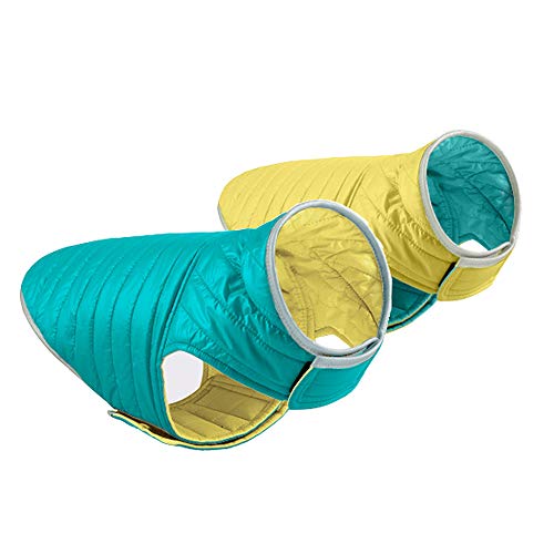 Blue/Yellow