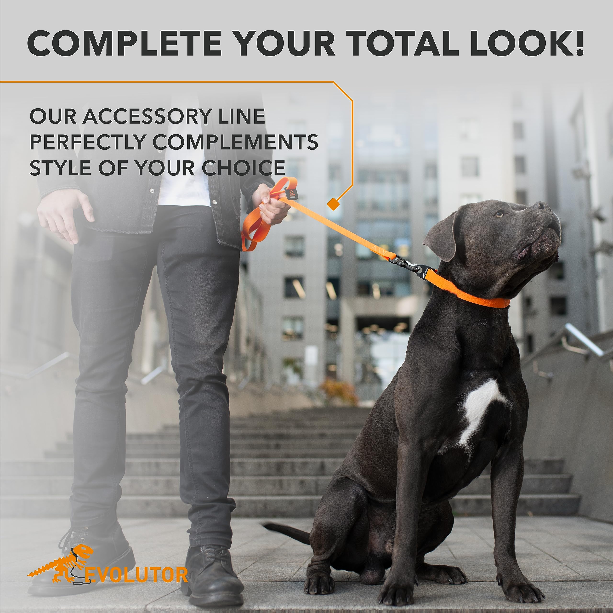 COLLAR Evolutor Extra Heavy Duty 10 Ft Dog Leash - Durable & Strong Leash for Large, Medium & Small Breed Dogs - Reflective Walking Pet Leash (Orange) - Perfect for Training, Hiking & Outdoor Adventures