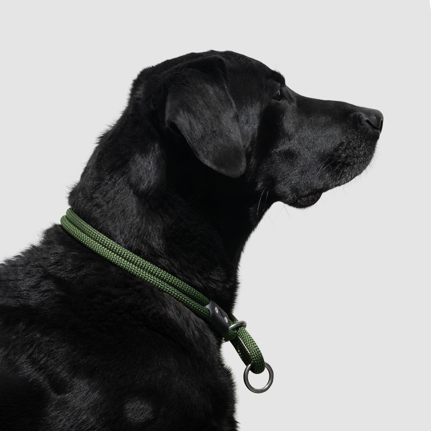 Lifetime Slip Collar for Dogs - Adjustable Nylon Training Collar with Quick-Release Buckle - Perfect for Obedience Training, Walking & Outdoor Adventures