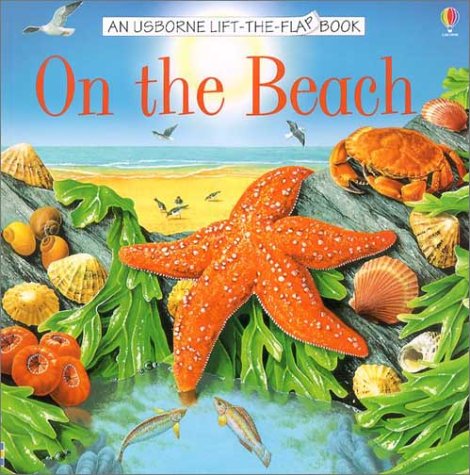 On the Beach - Interactive Lift-the-Flap Children's Book by Usborne | Fun Learning & Storytime for Kids | Perfect for Beach Trips & Summer Reading