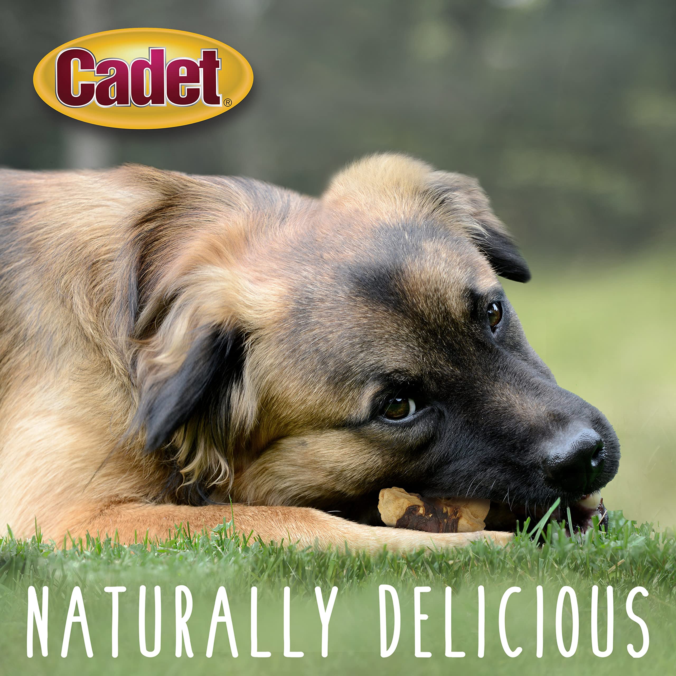 **Cadet Gourmet Chicken & Apple Wrapped Dog Treats – Healthy, Natural Training Snacks for Small & Large Dogs – USA Inspected & Tested (28 oz) – Perfect for Training, Rewards & Travel**