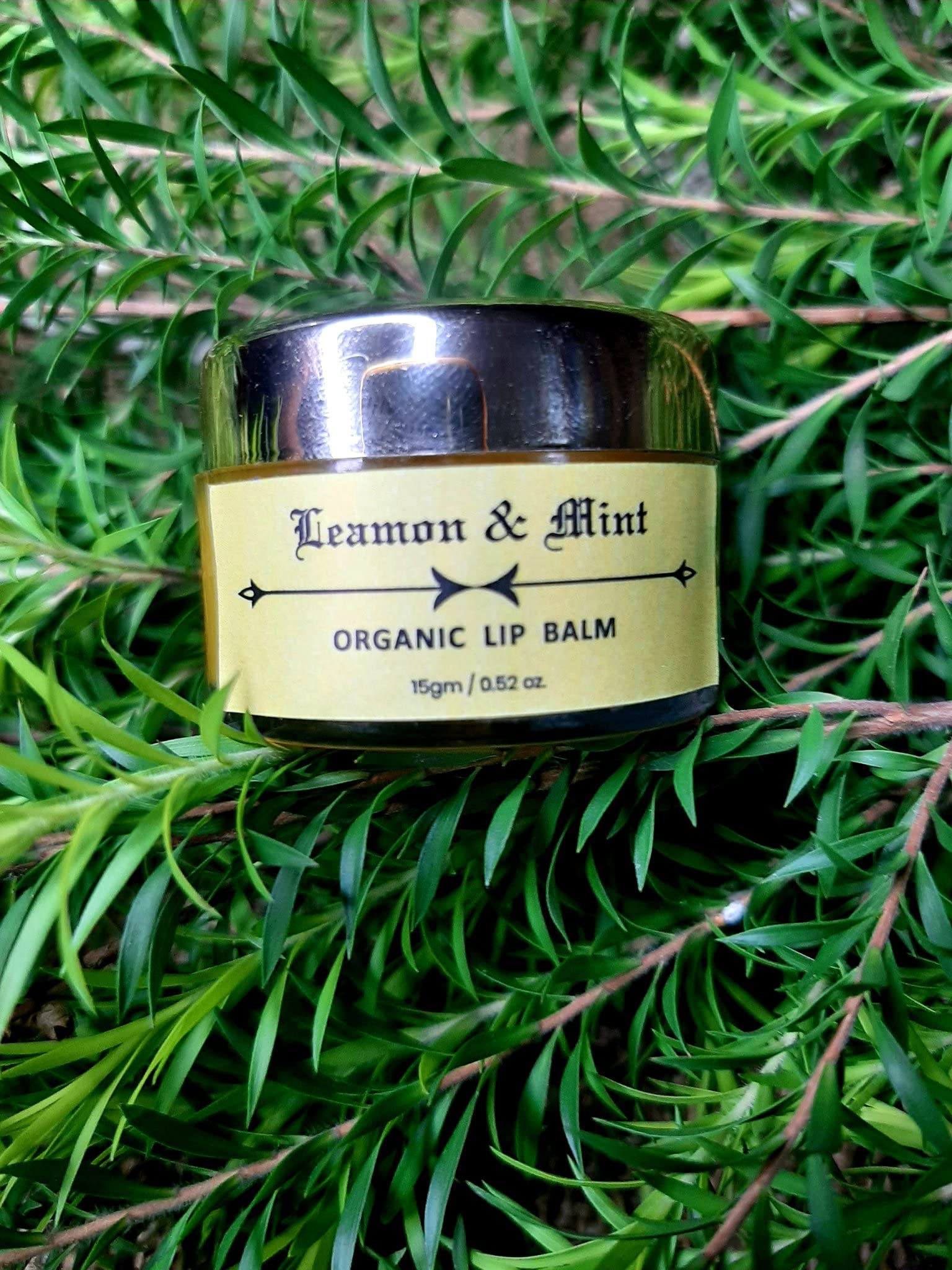 Organic Lemon & Mint Lip Balm - Soothing & Moisturizing for Dry, Chapped Lips - Perfect for Outdoor Activities, Travel & Daily Hydration