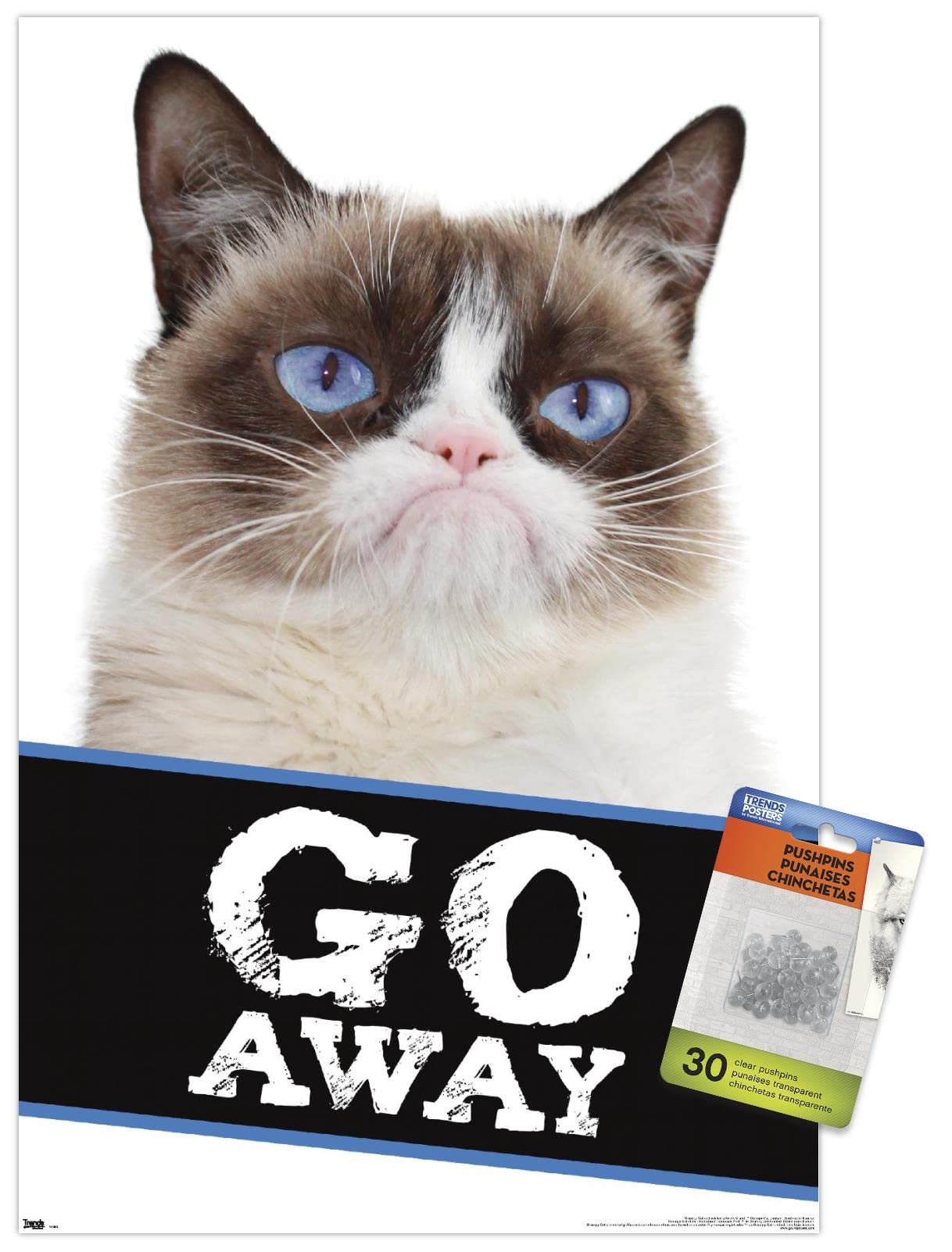 Grumpy Cat - Go Away Wall Poster with Push Pins | Funny Office Decor for Home & Work | Motivational Wall Art for Cat Lovers