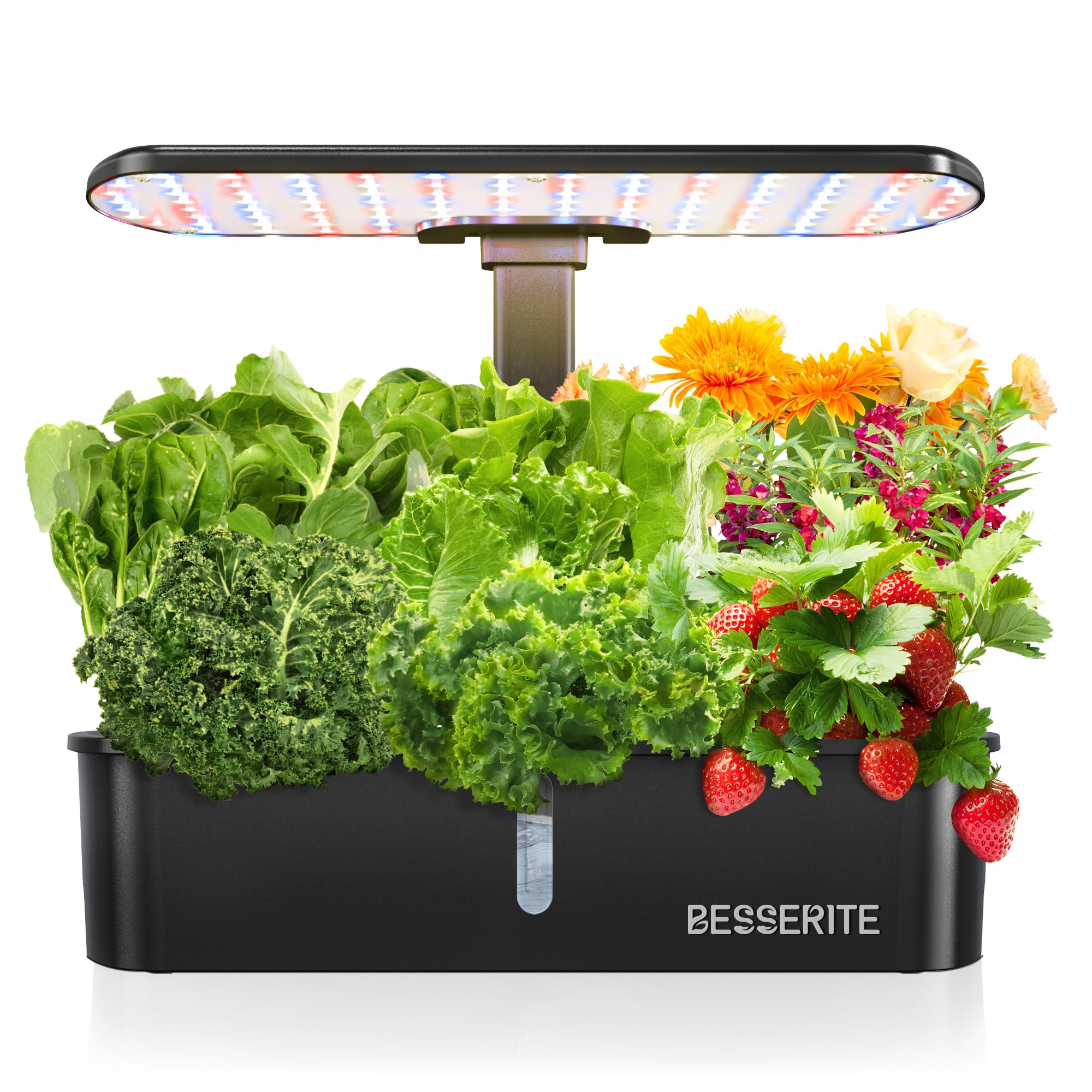 12 Pod Hydroponic Growing System Kit with LED Grow Light - Indoor Herb Garden for Kitchen, Countertop, Home - Smart Planting Kit for Lettuce, Basil & Fresh Greens - Perfect for Urban Gardening & Small Spaces