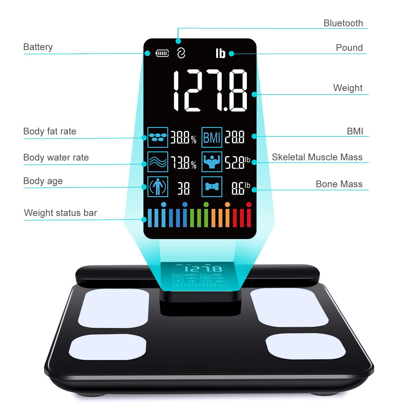 Smart Digital Body Fat Scale - 8 Electrode High Precision BMI, Body Fat, Muscle Mass Analyzer with 28 Body Composition Metrics, Rechargeable Color VA Display - Perfect for Home Gym, Weight Loss Tracking & Fitness Enthusiasts