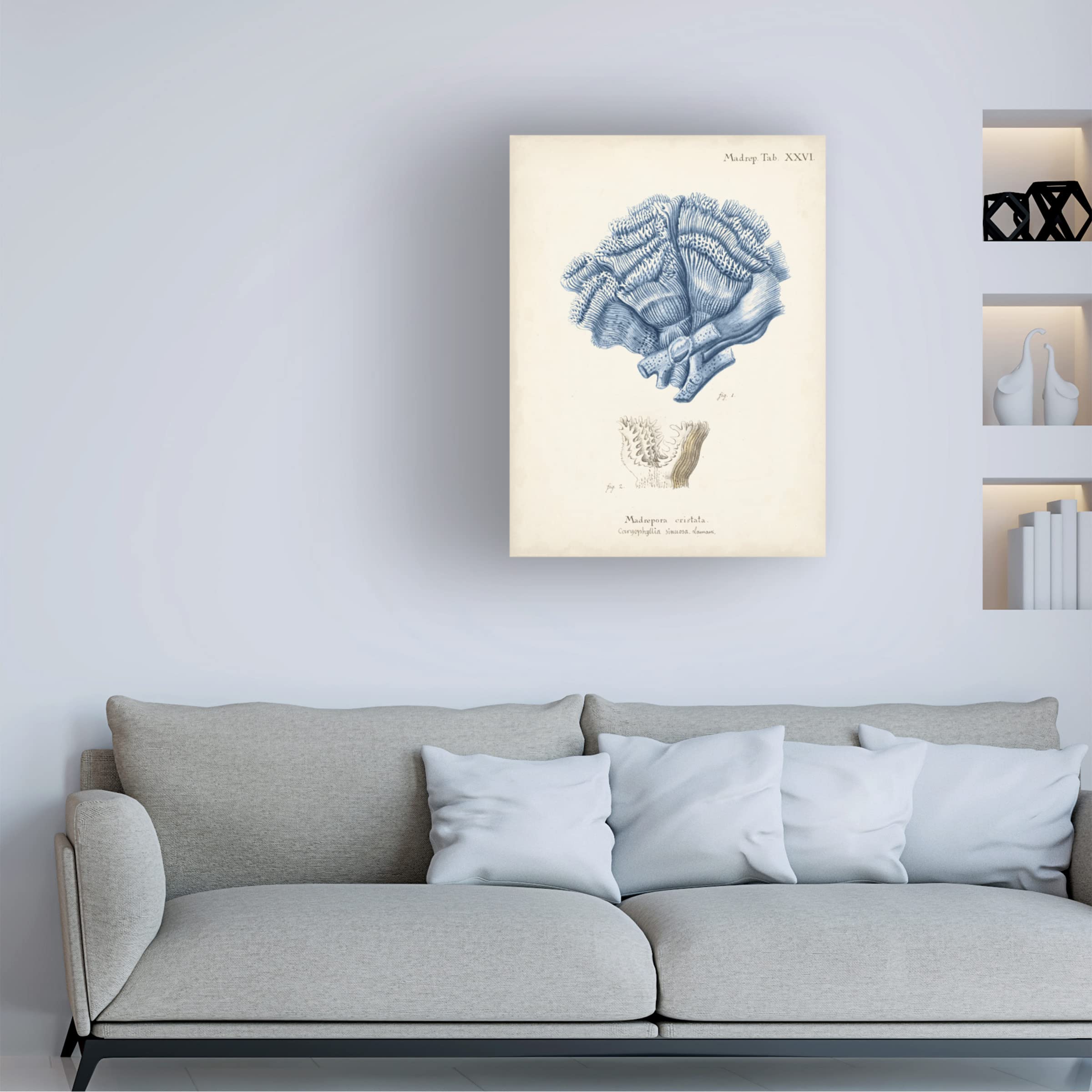 Trademark Fine Art 'Antique Coral in Navy II' Canvas Wall Art Print by Johann Esper - Perfect for Living Room, Bedroom & Office Decor