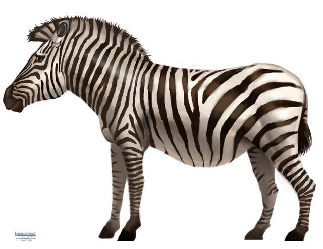 Zebra Wall Mural Decal - Self-Adhesive Animal Print Wall Sticker for Nursery, Kids Room & Home Decor - Perfect for Jungle Themed Bedrooms and Playrooms