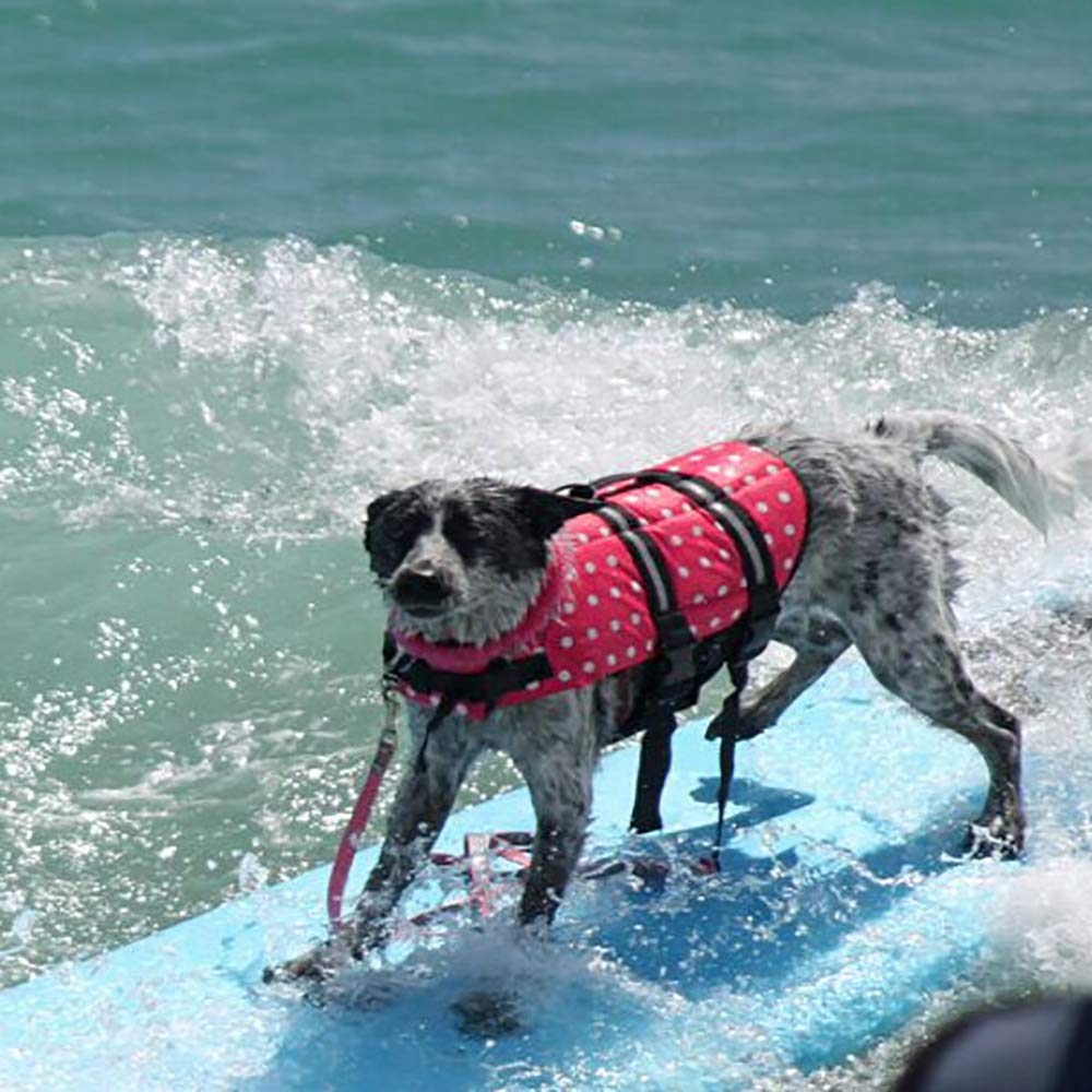 **Best Dog Life Jacket - Swimming Safety Vest with Handle for Small, Medium & Large Dogs - Adjustable Flotation Coat for Puppy & Adult Pets (Camouflage, Size M) - Perfect for Boating, Swimming & Water Activities**