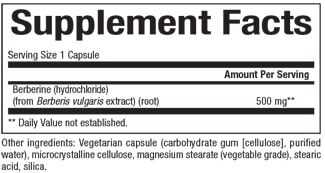 WellBetX® Berberine 500mg Supplement - Natural Blood Sugar Support & Digestive Health Aid - Vegan Capsules for Metabolism & Gut Wellness - Perfect for Daily Wellness Routine & Diabetes Management