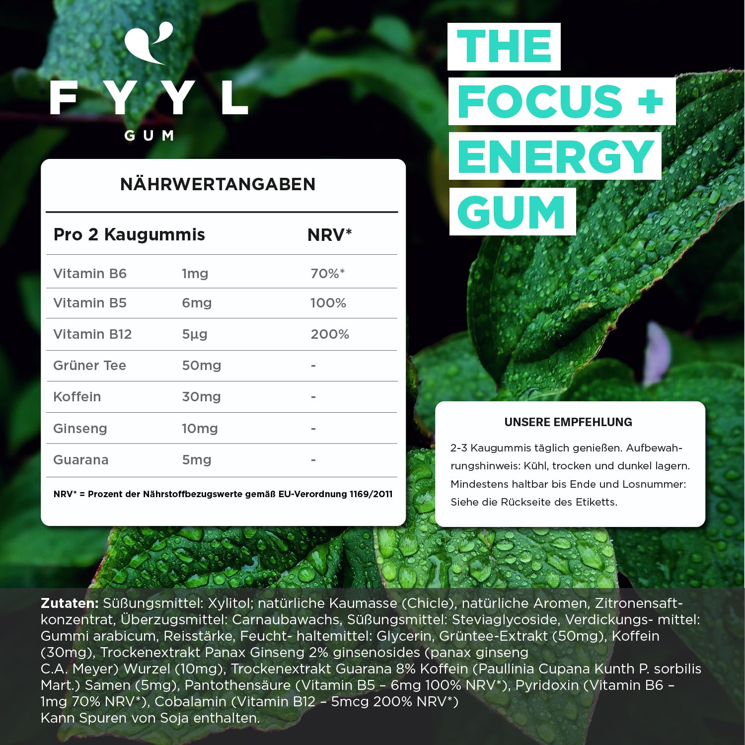 FYYL GUM Sugar-Free Energy & Focus Chewing Gum with Guarana, Ginseng & Vitamin B12 - Berry Mint Flavor - 50 Count Large Pack - Plastic-Free - Perfect for Studying, Workouts & Long Work Shifts