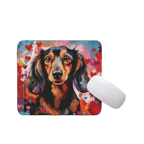 Dachshund