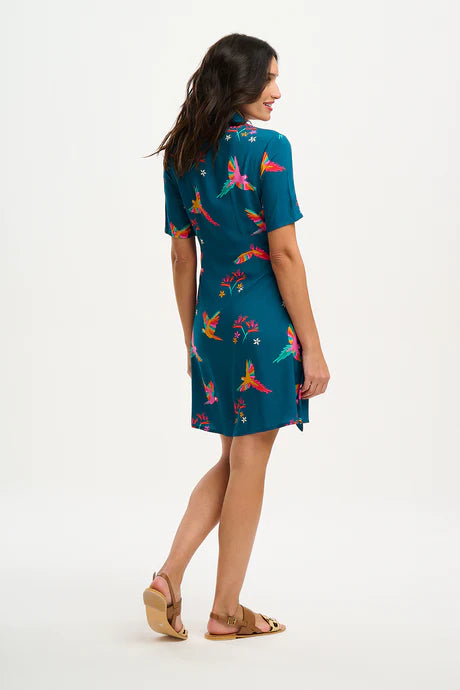 Stylish Dessie Shirt Dress with Teal Rainbow Parrots Print - Women's Flowy Casual Tunic Top for Summer Outings, Beach Vacations & Boho Fashion